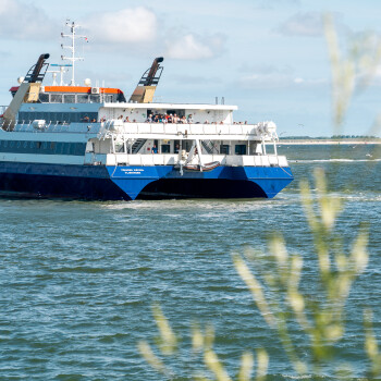 Westerschelde Ferry